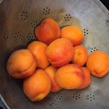 Laver les abricots